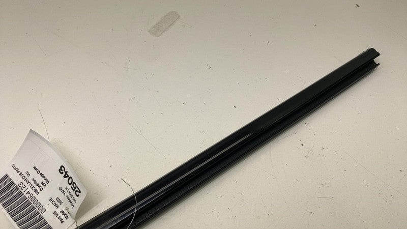 ⭕ 2021-2024 Ford Mustang Mach-E Left Door Window Inner Belt Weatherstrip Seal LH