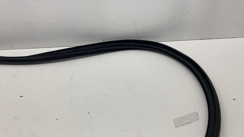 ⭕ 20-25 Tesla Model Y Front Left Door Body Weatherstrip Rubber Seal 14