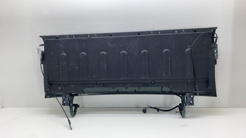 ⭕ 22-24 Rivian R1T Rear Truck Bed Door Tailgate Shell Assy Forest Gree
