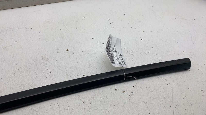 ⭕ 2024-2025 Tesla Model 3 Rear Right Side Door Window Seal Molding Bel