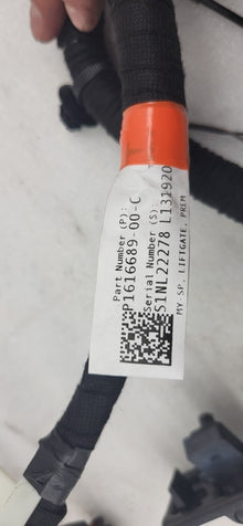 ⭕20-24 Model Y Rear Liftgate Trunk Wire Harness & Connector Antenna 1616689-00-C