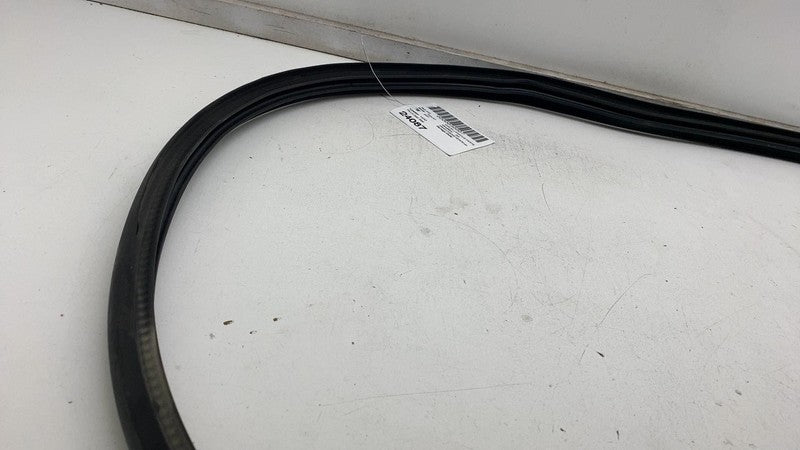 ⭕ 2020-2023 Tesla Model Y Front Driver Left Door Body Weatherstrip Rub