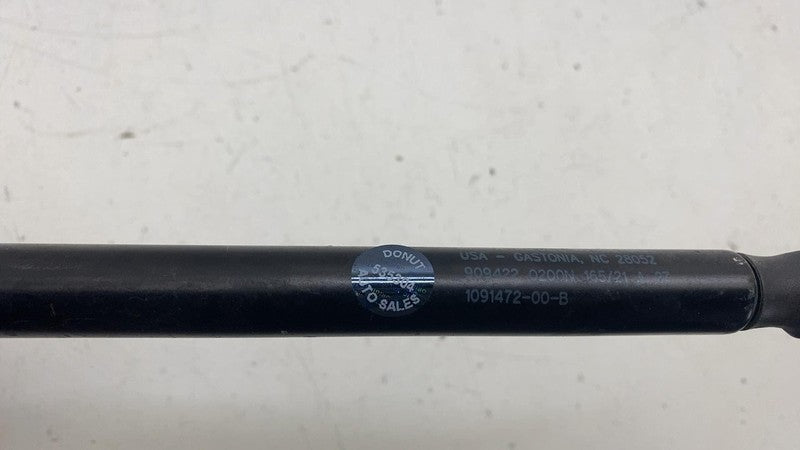 ⭕ 17-23 Model 3 Front Left or Right Hood Lift Shock Strut Support 1091