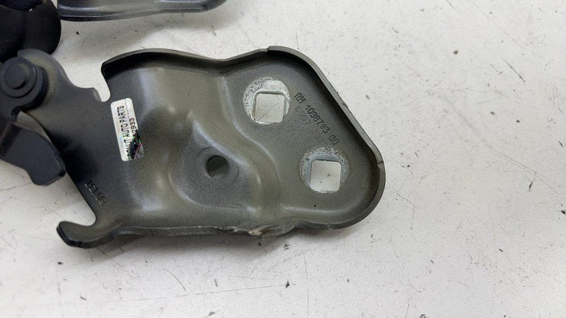 ⭕ 17-25 Tesla Model 3 Front Left & Right Bonnet Hood Hinge 1098793-00/