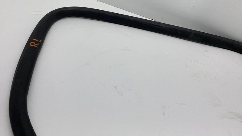180754700D 2024 Tesla Cybertruck Rear Driver Side Door Seal Gasket Weather Strip Left OEM