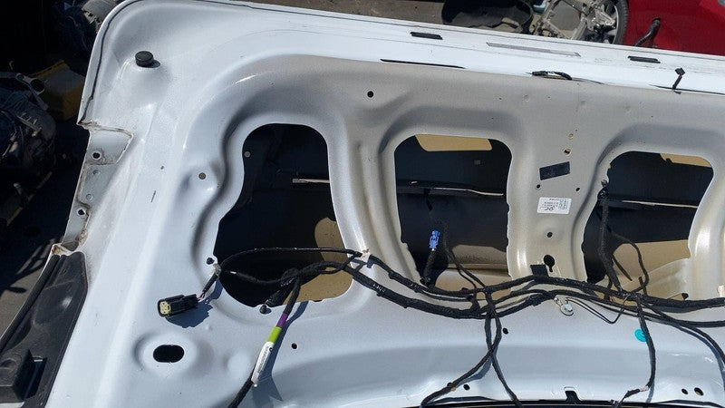 ⭕ 16-20 Model S MS Rear Tailgate Panel w/ Liftgate Glass White PPSW 60