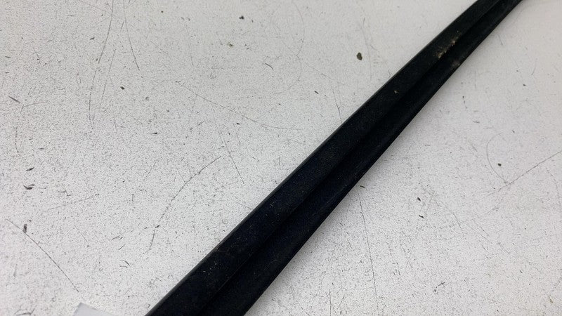 156223 2020-2024 Tesla Model Y MY Rear Driver Door Window Outer Belt Seal Molding Left