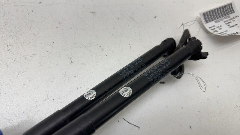 ⭕ 2017-2023 Tesla Model 3 Front Left & Right Hood Lift Shock Strut Support OEM