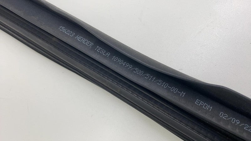 2017-2023 Tesla Model 3 Rear Driver Side Left Door Primary Weatherstri