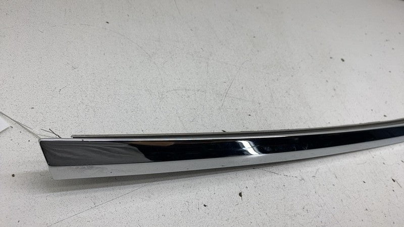 ⭕ 2016-2020 Tesla Model X MX Rear Driver Side Door Chrome Weatherstrip