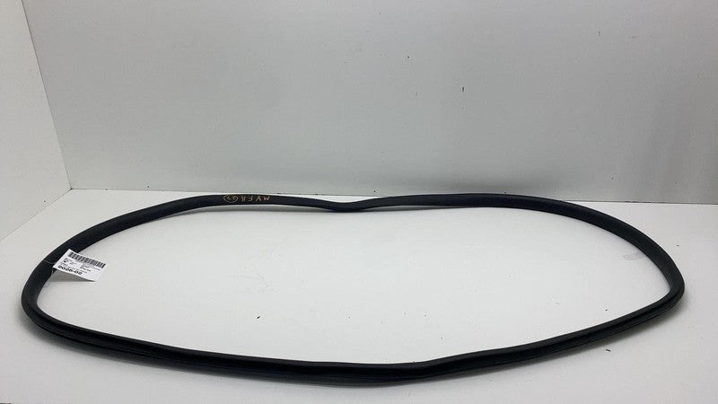 2020-2023 Tesla Model Y Front Passenger Right Door Body Weatherstrip Rubber Seal