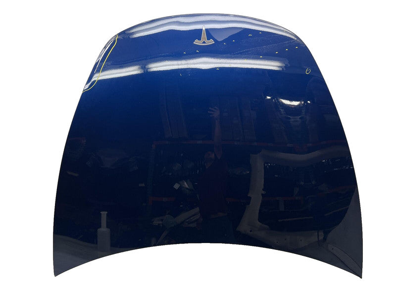 ⭕ 2017-2023 Tesla Model 3 M3 Front Hood Bonnet Shell Panel Cover Assy Blue - PPS