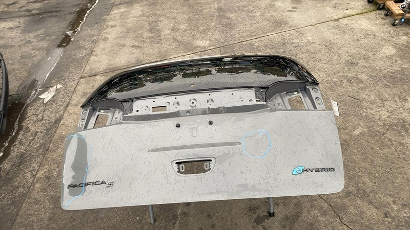 2021-2024 Chrysler Pacifica Trunk Tailgate Liftgate Decklid Shell Panel Gray PDN