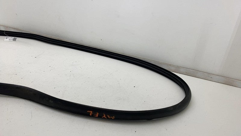 ⭕ 2020-2023 Tesla Model Y Front Driver Left Door Body Weatherstrip Rub