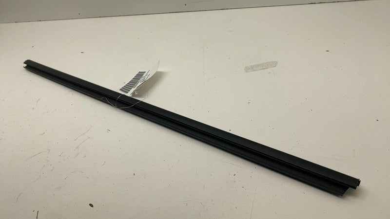 ⭕ 2021-2024 Ford Mustang Mach-E Left Door Window Inner Belt Weatherstrip Seal LH