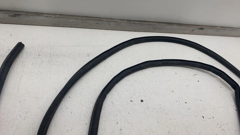 ⭕ 2019-2023 Audi E-Tron Rear Left Driver Side Door Body Weatherstrip Seal OEM LH