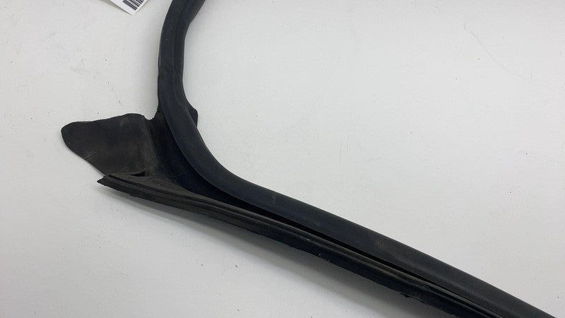 2017-2023 Tesla Model 3 Front Passenger Door Primary Weatherstrip Seal