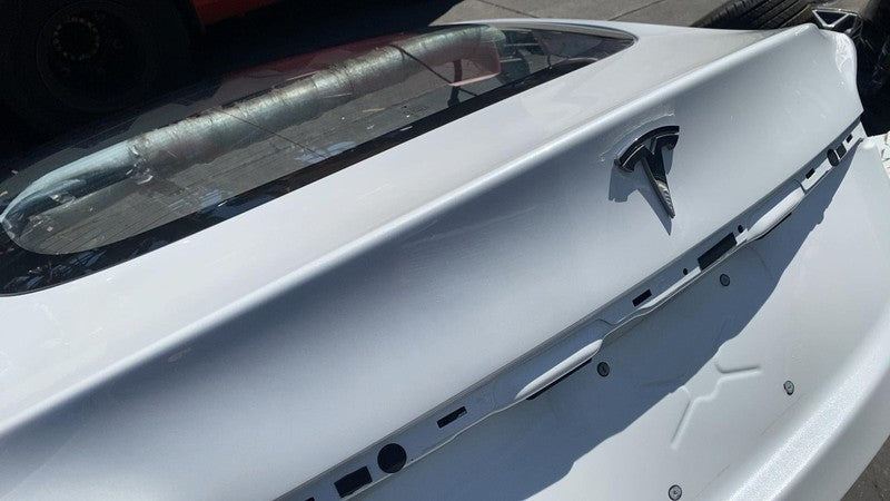⭕ 16-20 Model S MS Rear Tailgate Panel w/ Liftgate Glass White PPSW 60