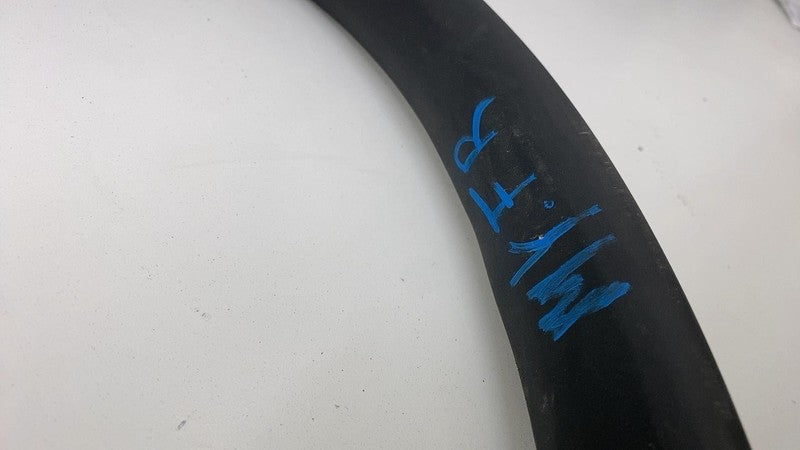 2020-2023 Tesla Model Y Front Passenger Right Door Body Weatherstrip Rubber Seal