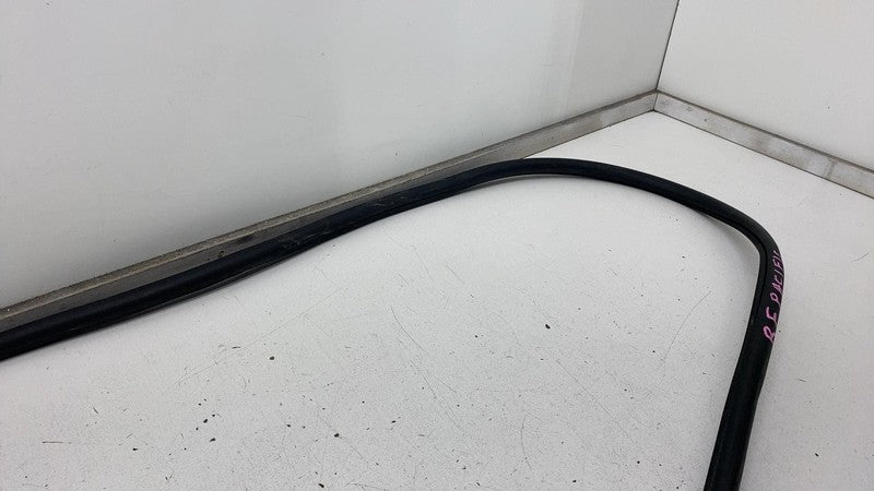 ⭕ 2017-2023 Chrysler Pacifica Front Passenger Right Door Body Weatherstrip Seal