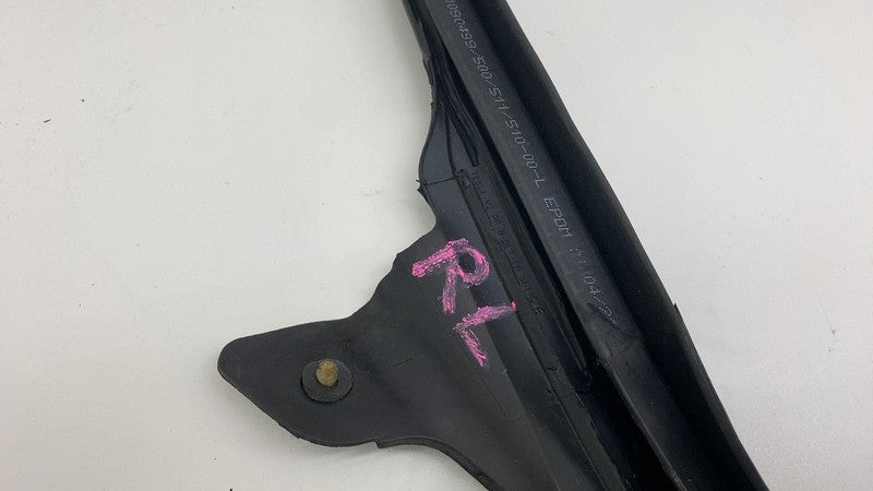 ⭕ 17-23 Tesla Model 3 Rear Driver Side Left Door Primary Weatherstrip 