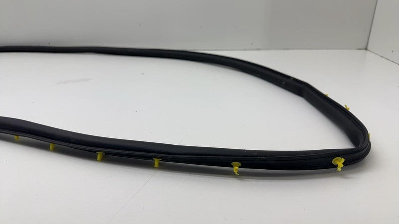 LJ8B-R20530 ⭕ 2021 2022 2023 2024 Ford Mustang Mach-E Front Door Weatherstrip Seal OEM