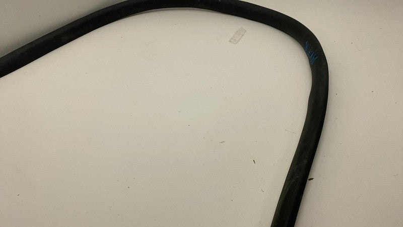 2020-2023 Tesla Model Y Front Passenger Right Door Body Weatherstrip Rubber Seal