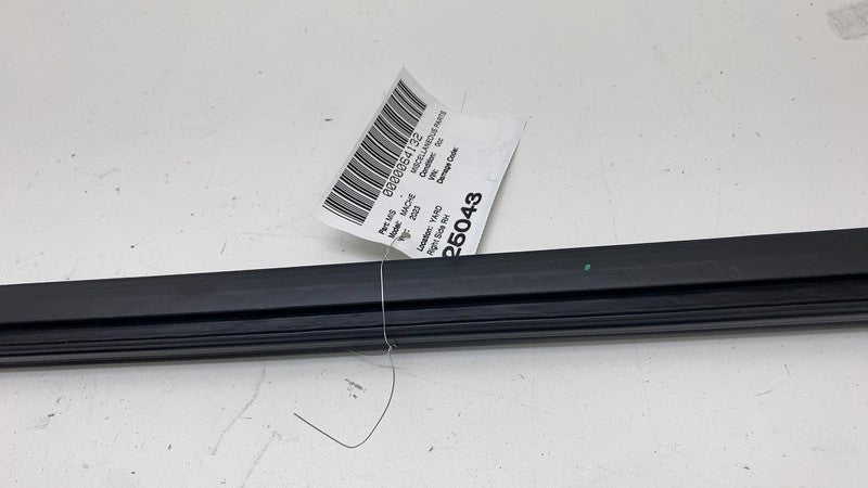 ⭕ 2021-2024 Ford Mustang Mach-E Right Door Window Inner Belt Weatherst