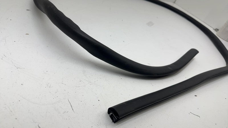 ⭕ 21-24 Mustang Mach-E Rear Passenger Right Door Body Weatherstrip Rubber Seal