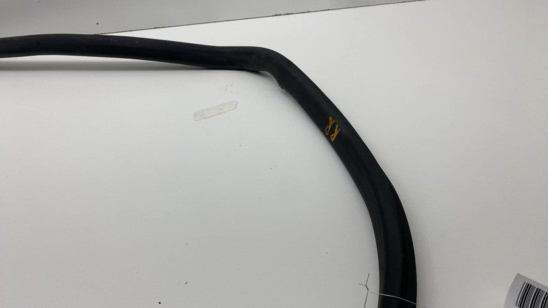 2024 Tesla Cybertruck Rear Passenger Right Door Seal Gasket Weather St