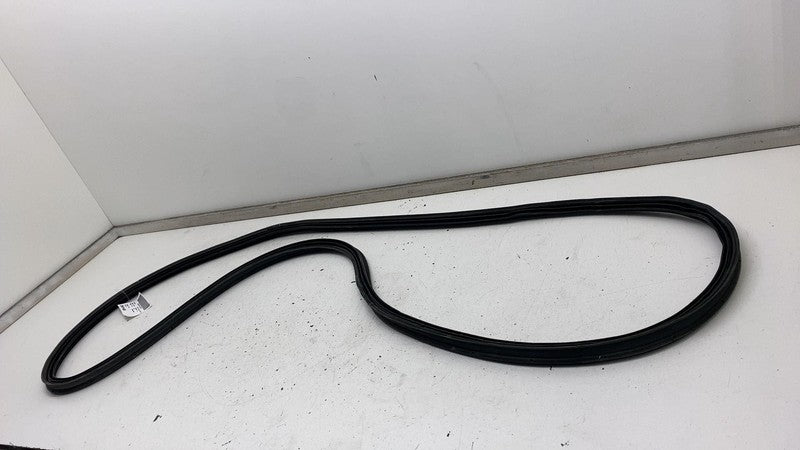 2022 2023 2024 Kia EV6 Rear Door Body Weatherstrip Rubber Seal Assembly OEM
