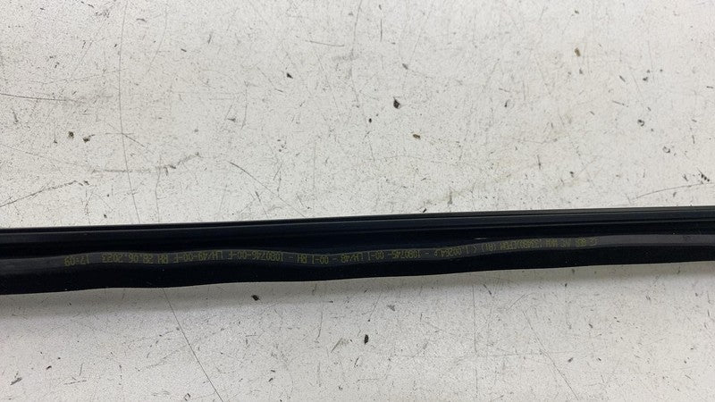 ⭕ 2024-2025 Tesla Model 3 Rear Left or Right Door Window Seal Molding 