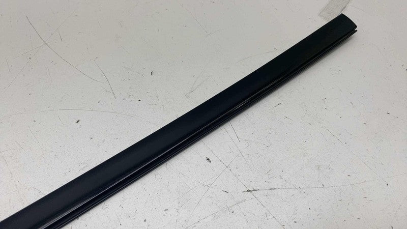 ⭕ 17-25 Chrysler Pacifica Rear Driver Side Sliding Door Window Belt Mo