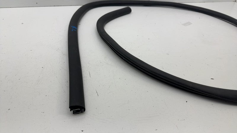 LJ8BR253H10AD ⭕ 21-24 Mustang Mach-E Front Door Body Weatherstrip Rubber Seal LJ8B-R253H10-AD