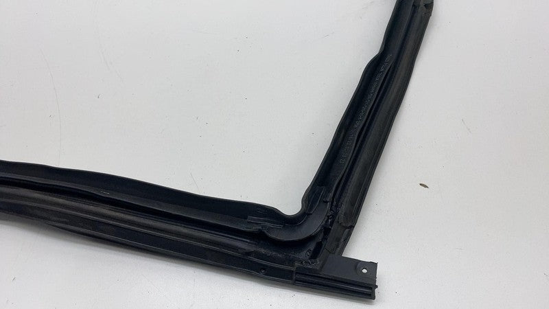 2017-2023 Tesla Model 3 Rear Passenger Right Door Body Weatherstrip Rubber Seal