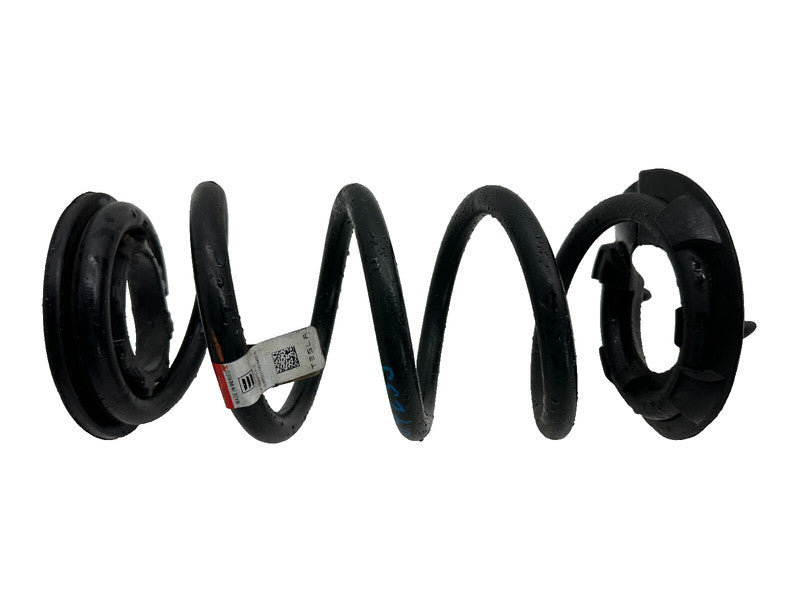 104447201E ⭕ 2017-2023 Tesla Model 3 Rear Left or Right Suspension Coil Spring 1044472-01-E
