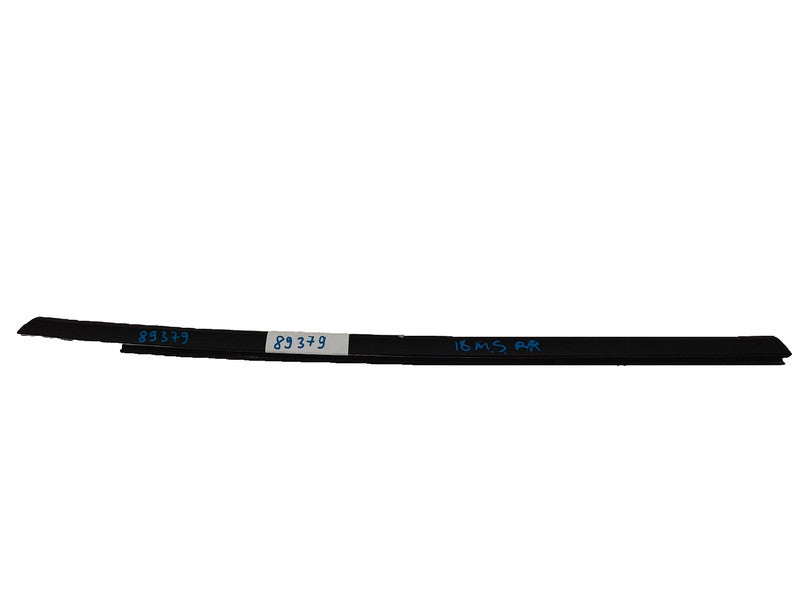 ⭕ 2012-2020 Tesla Model S Rear Passenger Door Inner Belt Rubber Seal Right RH