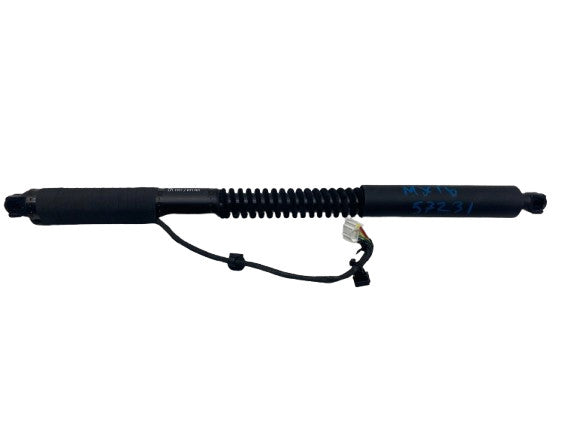 ⭕ 16-25 Model X Front Left/Rear Right Primary Door Lift Shock Strut 10