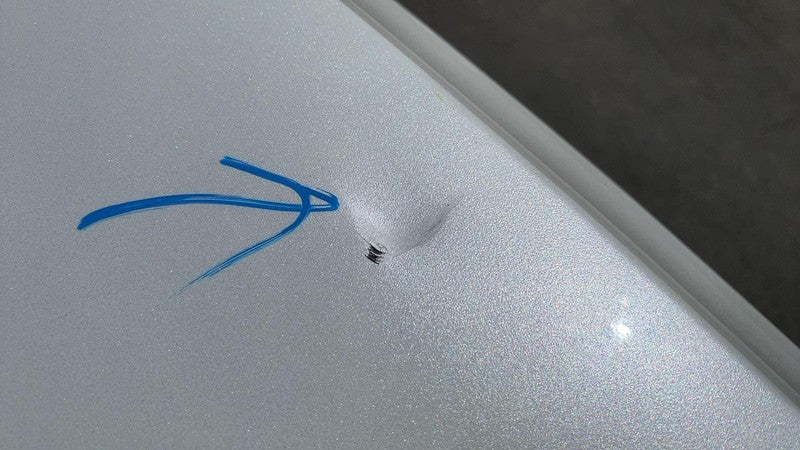 ⭕ 2017-2022 Tesla Model 3 M3 Rear Bumper Cover Multi-Coat Pearl Assy W