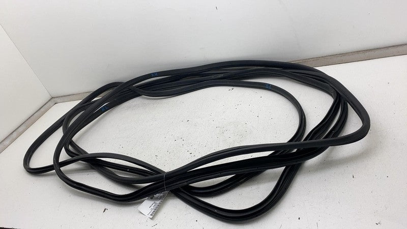 2022-2024 Kia EV6 Front & Rear Left  & Right  Door Body Weatherstrip Rubber Seal