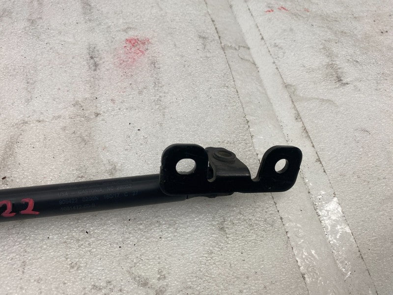 1091472 00 B 17-23 Model 3 Front Left/Right Bonnet Hood Shock Strut Lift Support 1091472-00-B