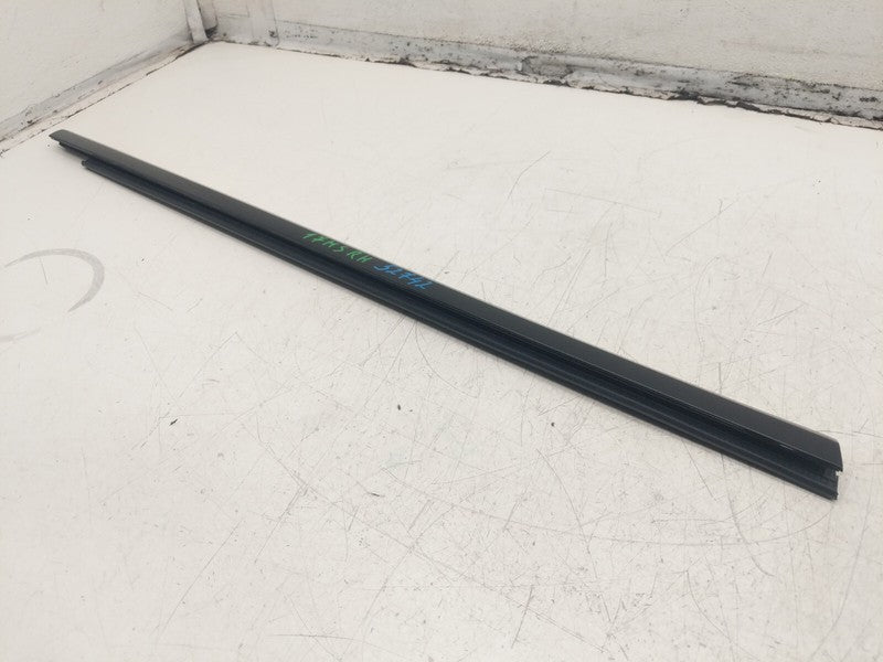 ⭕ 2012-2020 Tesla Model S Front Passenger Side Door Window Inner Belt 
