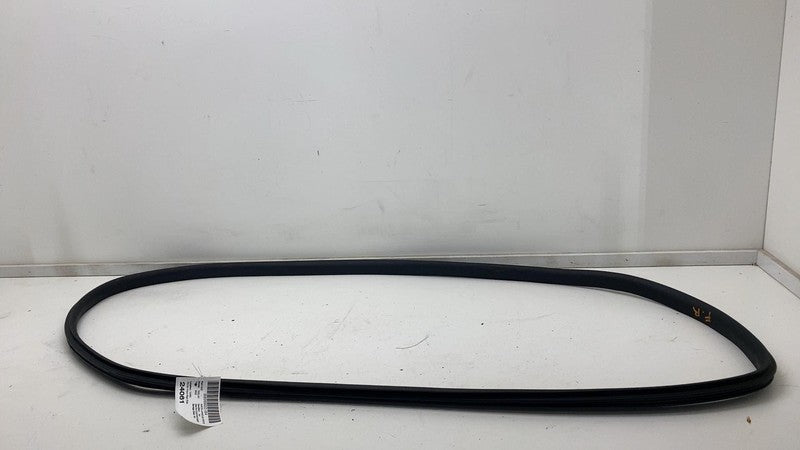 2020-2022 Tesla Model Y Front Passenger Side Door Weatherstrip Rubber Seal Right