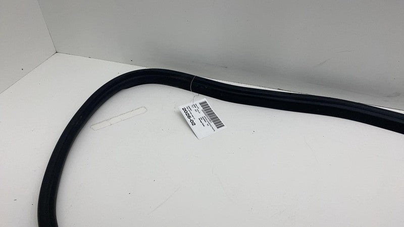 2017-2023 Tesla Model 3 Rear Driver Side Left Door Primary Weatherstrip Seal OEM