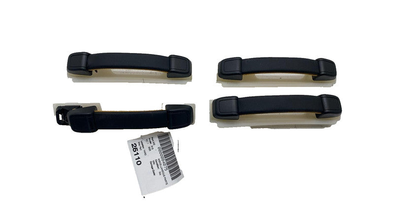 ⭕ 2022-2025 Rivian R1S Roof Headliner Interior Grab Grip Bar Handle OEM SET of 4