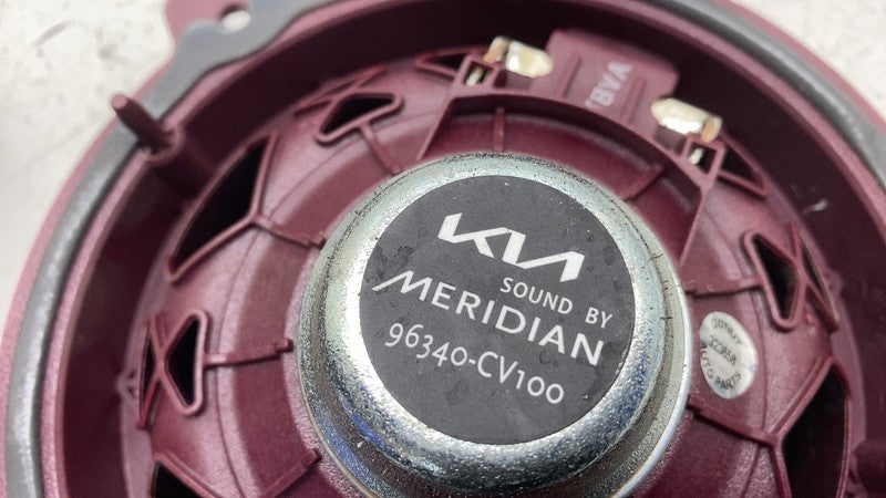 96330CV100 2022 2023 2024 Kia EV6 Set of Door Audio Sound Speaker Assembly (4x) 96330-CV100