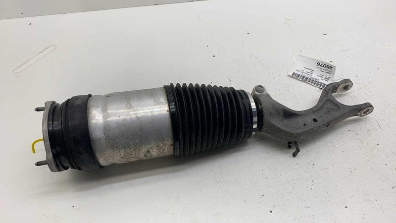 ⭕ 16-20 Model S Front Left Air Suspension Shock Strut Module LH AWD 10