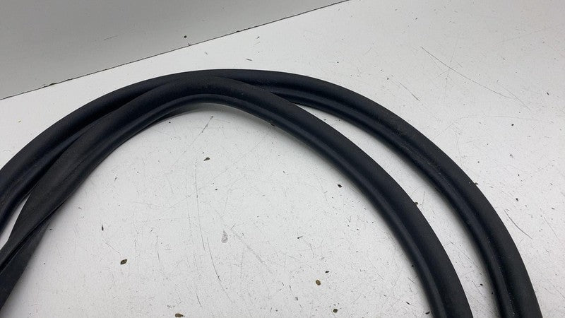⭕ 2017-2023 BMW 540i Front Driver Side Door Body Weatherstrip Rubber S