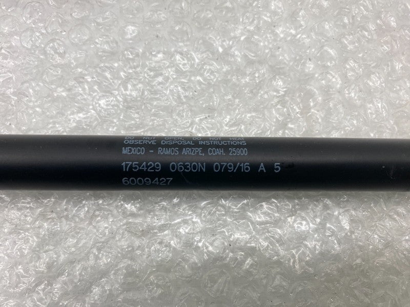 6009427 ⭕ 2012-2020 Tesla Model S Rear Right Tailgate Trunk Liftgate Gas Strut 6009427