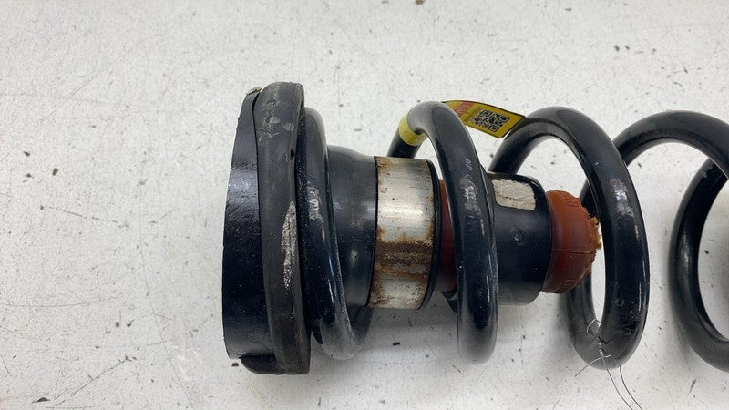 68231034-AA 2017-2024 Chrysler Pacific Rear Side Right Suspension Coil Spring FWD 68231034AA
